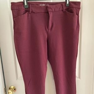 Women's pixie pants